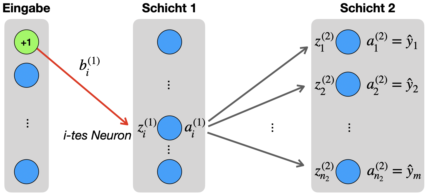 Bias-Neuronen