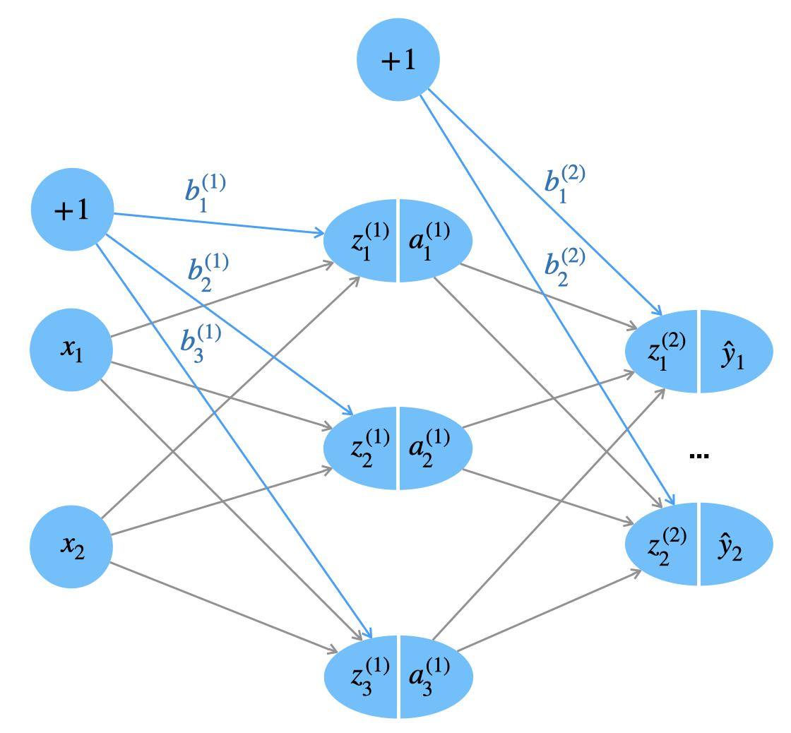 Bias-Neuronen